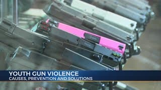 Causes and Effects of Gun Violence