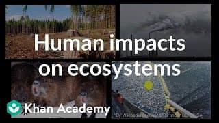 Human Impact on the Environment