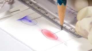 Separate Ink Pigments with Chromatography