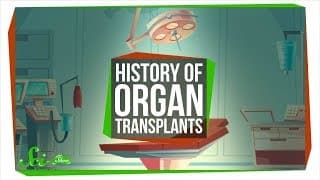 Organ Donation, Transplants, and Rejection