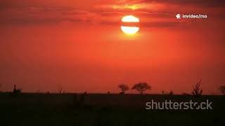 Africa's Climate Zones and History