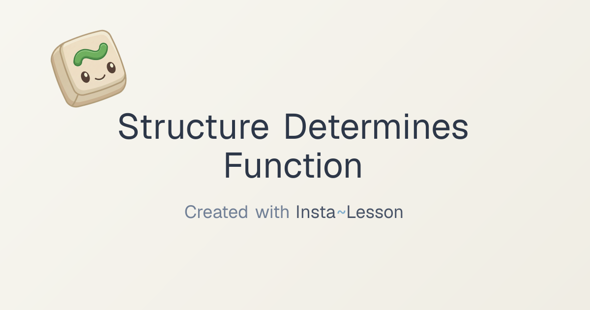 explain the relationship between the structure and function of ...